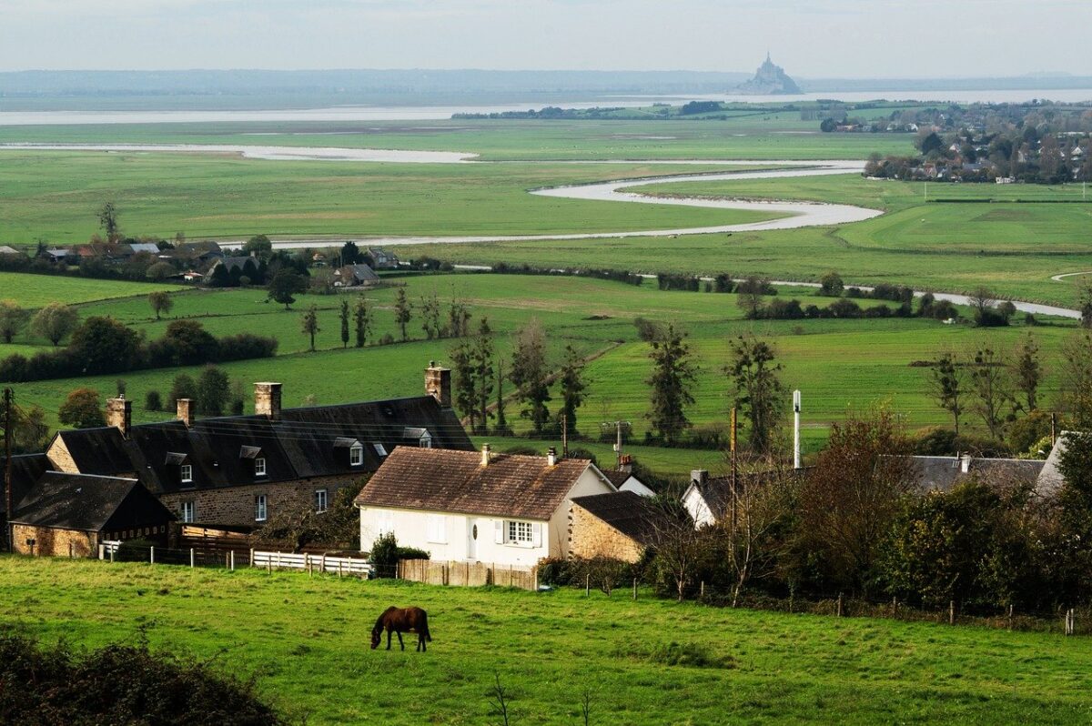 paysage hivernal