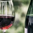 Des vins rouges et des vins blancs de grande qualité enrichissent votre cave