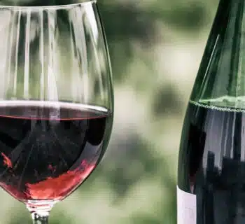 Des vins rouges et des vins blancs de grande qualité enrichissent votre cave